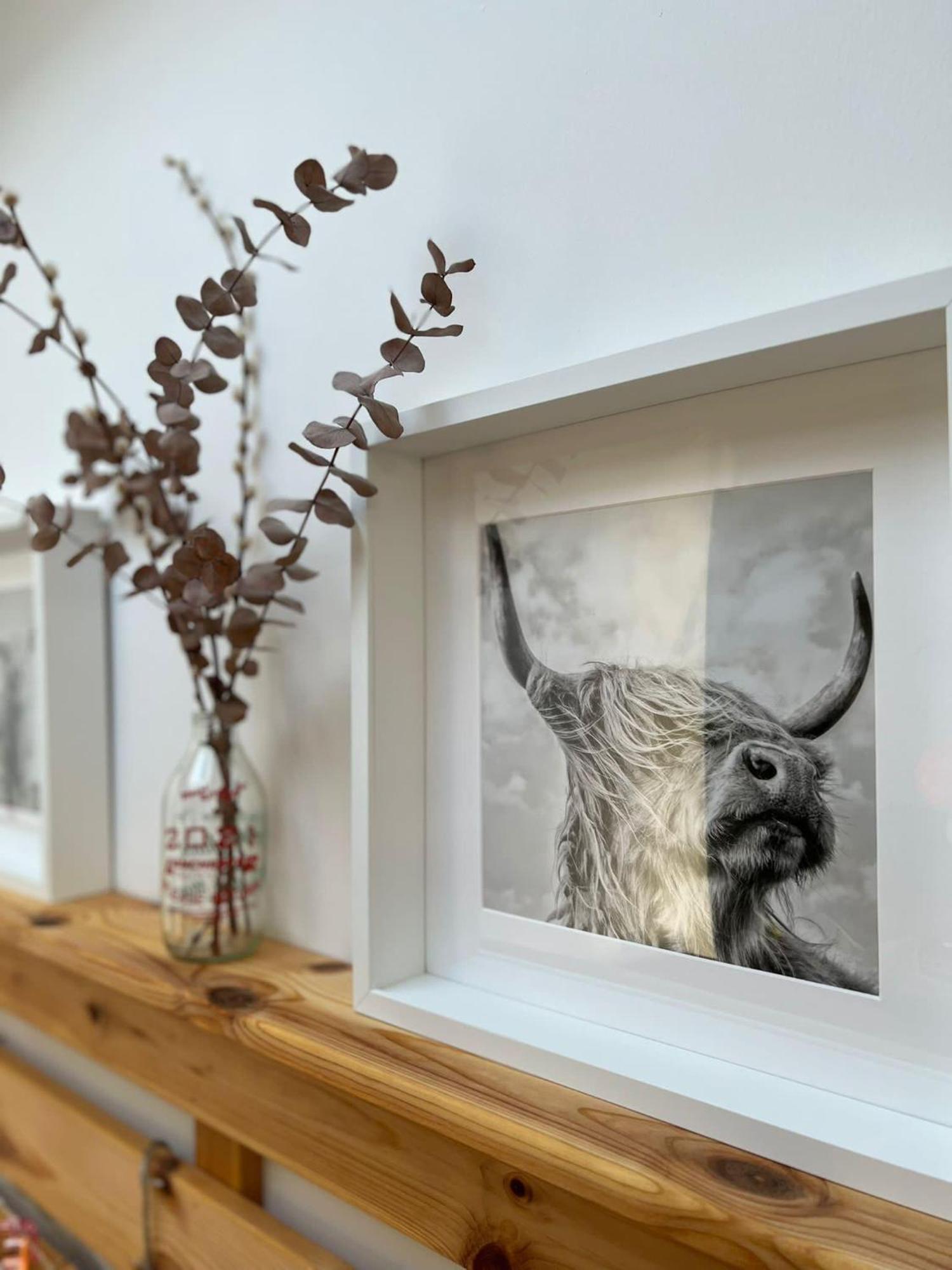 The Trossachs Collection Villa Balfron Ruang foto